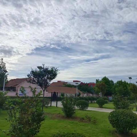 春风化雨润花蕊，三尺讲台写春秋——新安街道关王小学庆祝教师节活动纪实