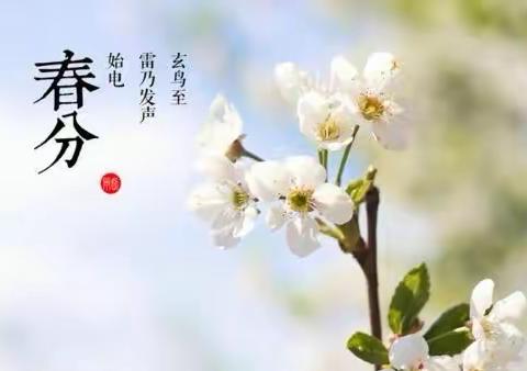 “阳春三月 春趣盎然”——创维小一班春分主题活动