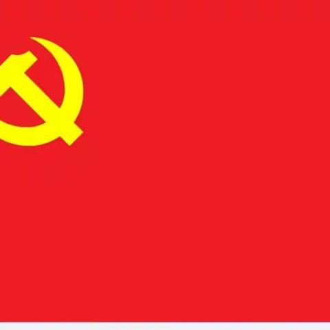 党旗引领，战“疫”有我