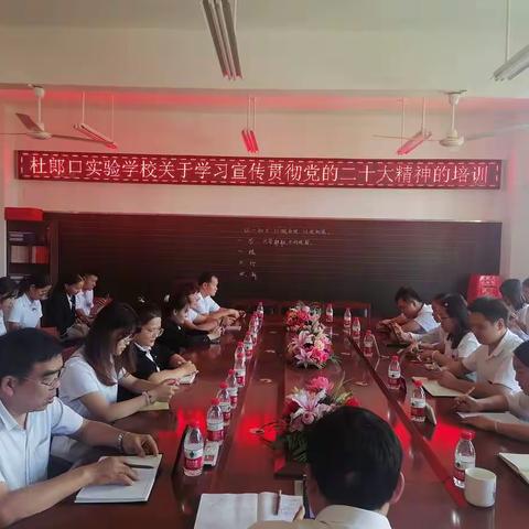 五指山市民营学校联合支部学习宣传贯彻二十大精神会议培训会