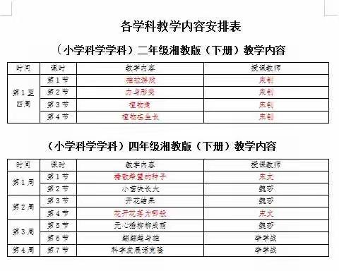 【课题动态】疫情无情人有情，线上课堂系真情——晨曦小学科学课题组备战疫情线上课堂侧记