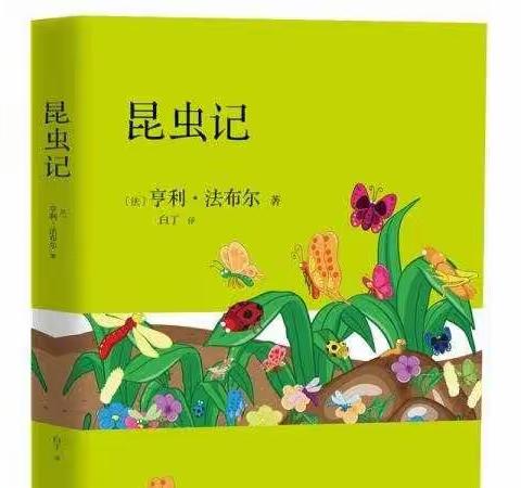阅读《儿童文学概论》收获