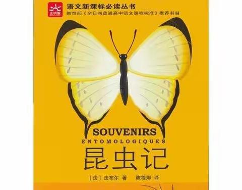 《儿童文学概论》阅读收获