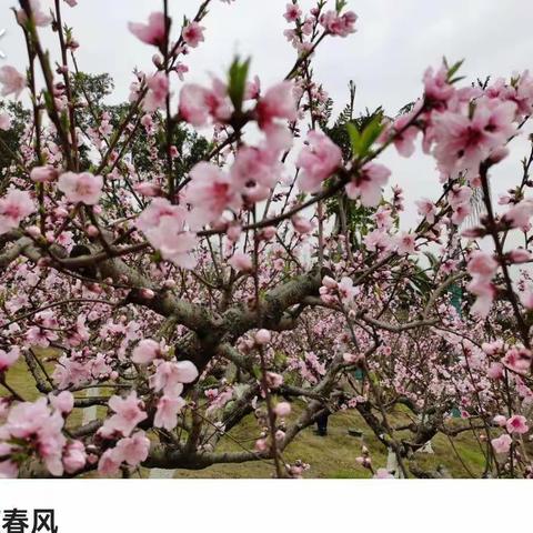 疫情期间不出门，健康学习永不停——宁小幼儿园小班居家生活美篇【五】        2022年4月22日