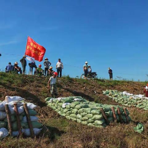 烈日下的“打土牛”之战