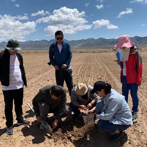 省饲草料技术推广站前往海西州德令哈市开展苜蓿高效生产集成技术指导工作