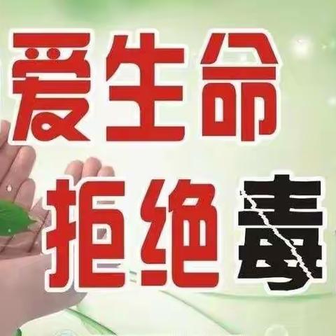 禁毒宣传进校园，无毒青春伴我行——北张中心校东宜亭小学禁毒宣传活动