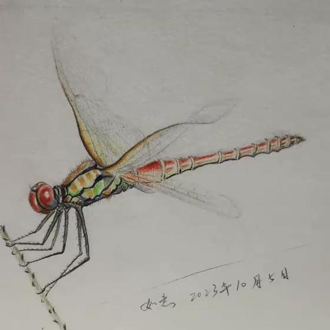 彩铅印记