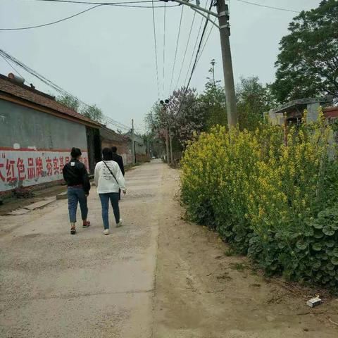 【前史楼小学】成武县桃花学区前史楼小学线上教学家访活动