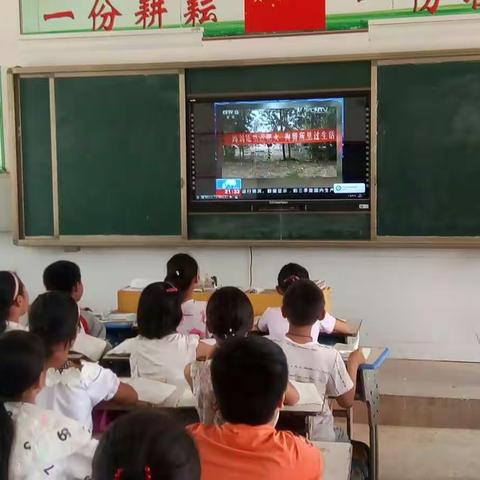 【前史楼】桃花学区前史楼小学开展“小手拉大手，抵制秸秆焚烧”活动