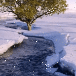 王庄堡小学2018寒假作业