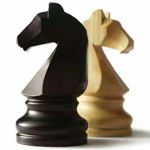 杨显红D组的美篇专家引领，促成长