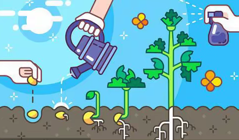 第五学校小学部一年级3班植被养护篇