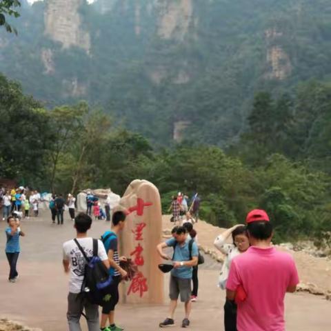 我的美篇