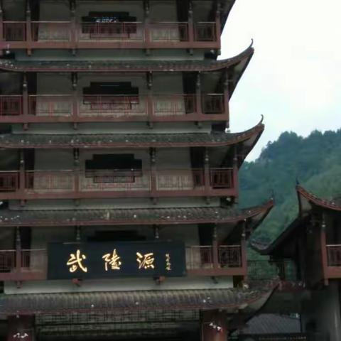 我的美篇