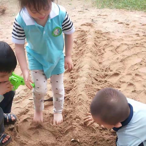 长岛冰茶的美篇