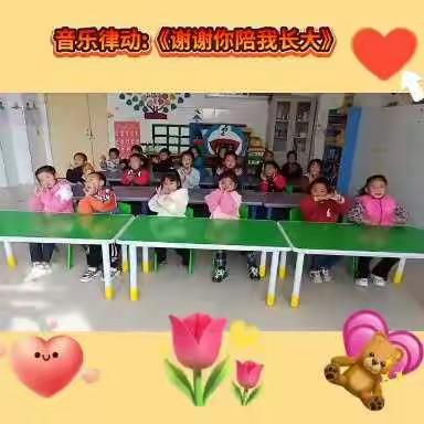 🏡幼儿园里的小美好💐~~~张北幼儿园日常活动周剪辑👦🏻👧🏻