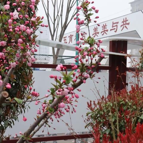 轻叩诗歌大门，徜徉诗海长廊—2019级9班综合性学习小记