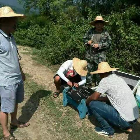 五指山市三农普办完成三农普夏播遥感测量工作