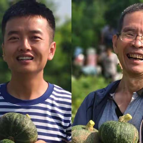 板栗南瓜喜丰收 产业兴旺促振兴