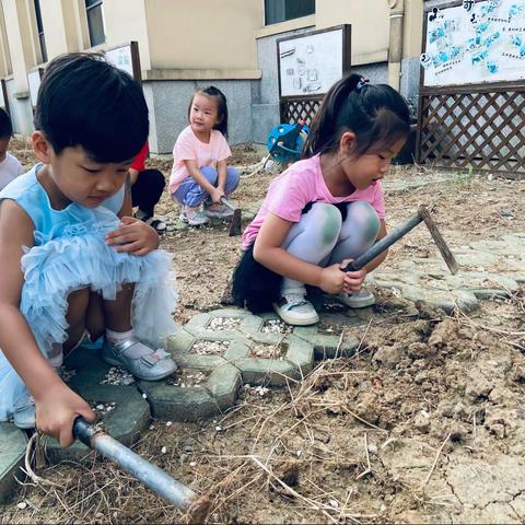 “播种希望，收获快乐”———义台街幼儿园中一班种植园地