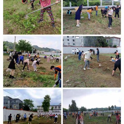 师生齐劳动，美化缤纷校园——金碧镇凉桥完小开展植树种花校园实践活动