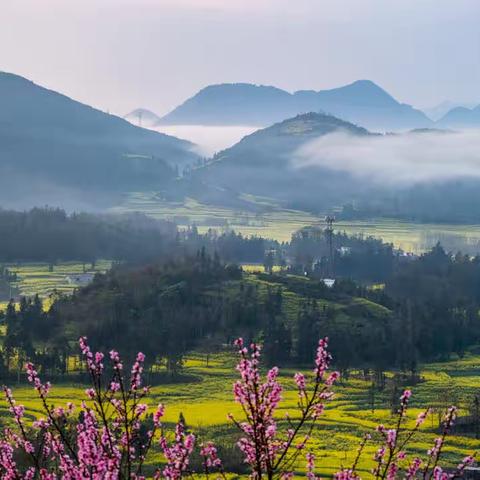 踏花北归第二季（一）罗平、万峰林、青岩古镇、贵阳