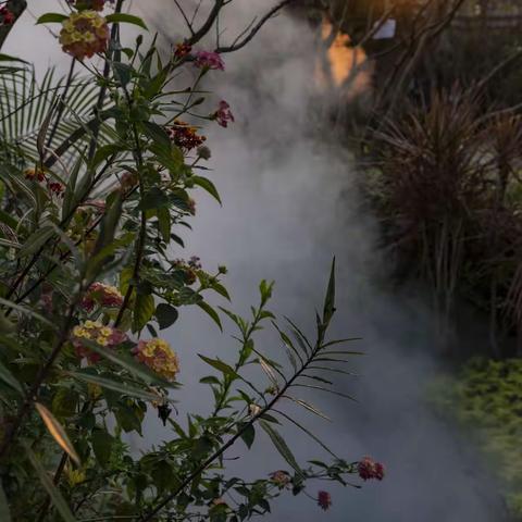 烟花三月 踏花北归（一）温汤、明月山、南昌（滕王阁、八一广场、江西省博物馆）