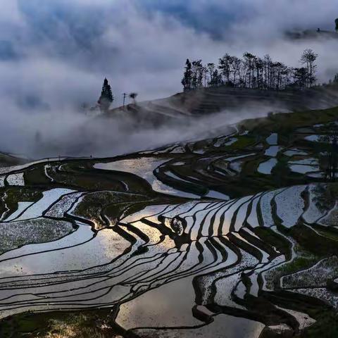 一路向南（五）元阳梯田、普洱森林公园、西双版纳