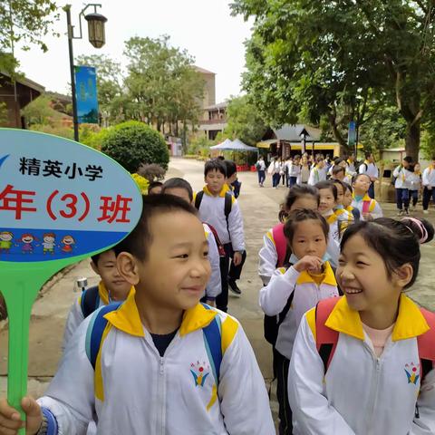 精英小学203班旅游相册