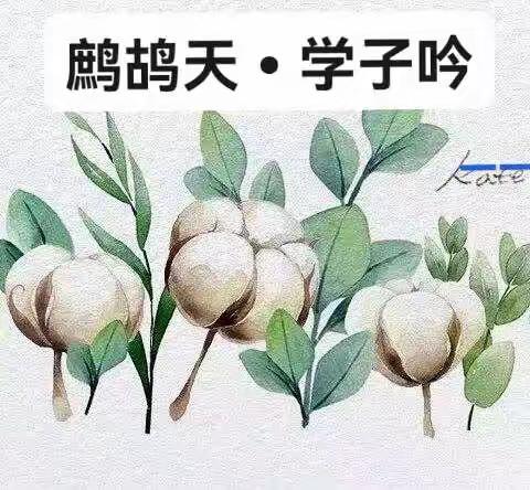 线上共观摩，研讨共成长——记护驾山小学数学教师线上观摩活动（副本）