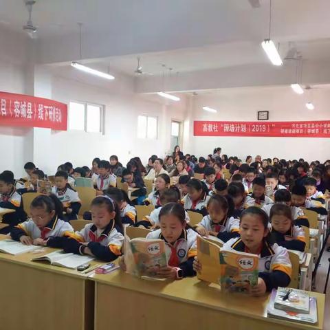紫丁香的美篇