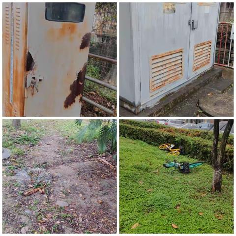 【南约社区·深业城市管家】1月11日综合日报