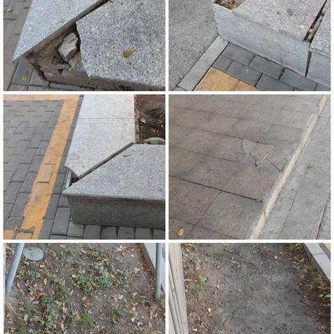 【南约社区·深业城市管家】1月19日综合日报