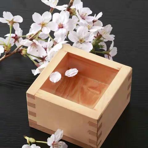 五年六班每日一读阶段性总结！