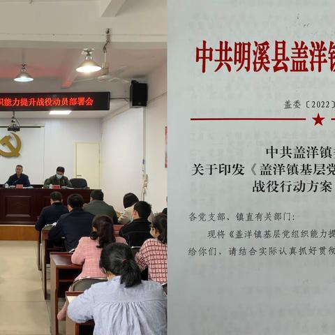 盖洋镇：聚焦“三化”，推动基层党组织能力提升