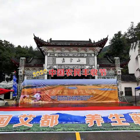 走进蕲春雾云山风景区“梦幻梯田，雾云茶海”