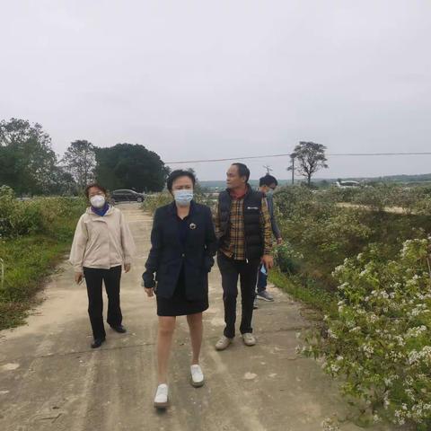 秀英区人大常委会副主任崔海萍深入东山镇马坡沟开展河长制巡查工作