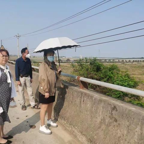 秀英区人大常委会副主任崔海萍深入东山镇马坡沟开展河长制巡查工作