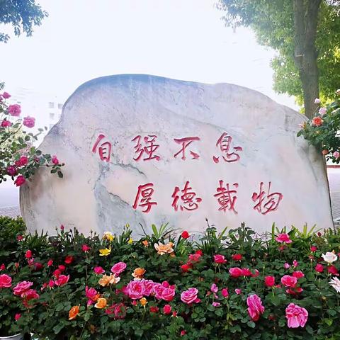 年少不负凌云志，自律之星放异彩——南阳市九中线上学习自律之星（二）