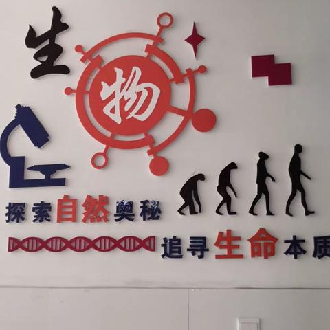 生物实验——走近神秘的微观世界