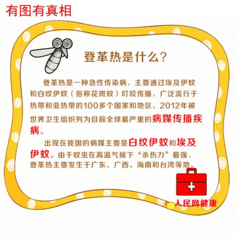 小手拉大手，防控登革热