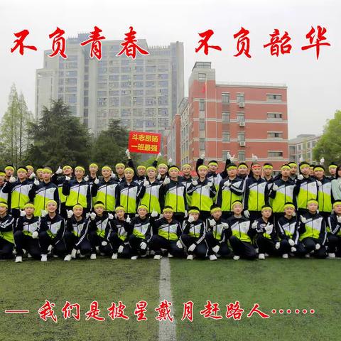 不负青春 不负韶华——池州市第十一中学801班寒假德育风采