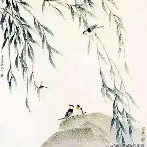 【禹小教研】2019年暑期英语培训