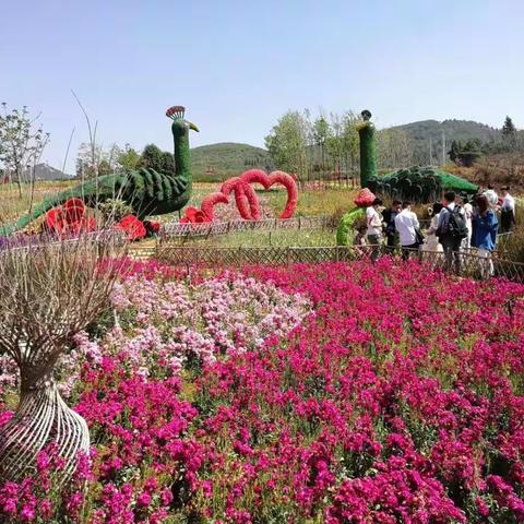 嵩阳二小六年级61班春游