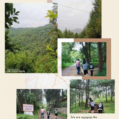 My     summer    vacation