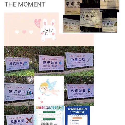 嵩阳二小二年级87班爱国卫生“七个专项行动”手抄报