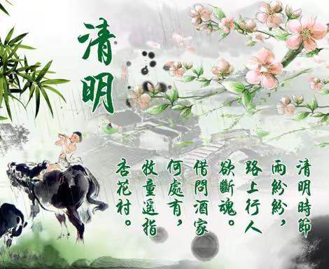 清明融于情，春雨润于心——蓟州区第八幼儿园清明节主题活动