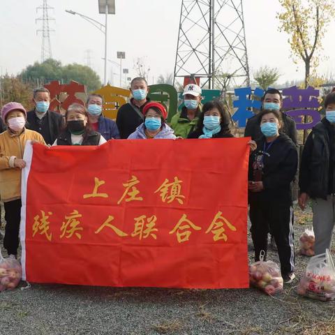 体验采摘之乐 收获美好幸福 上庄镇残联组织残疾人开展户外农疗活动