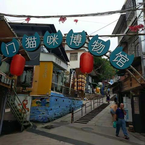 猫街，我们来了